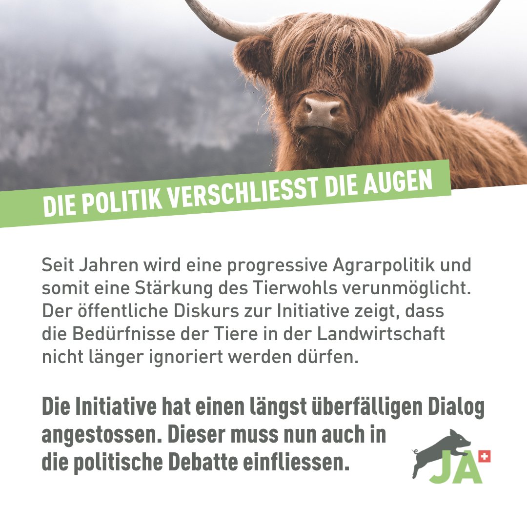 Initiative gegen Massentierhaltung tweet media