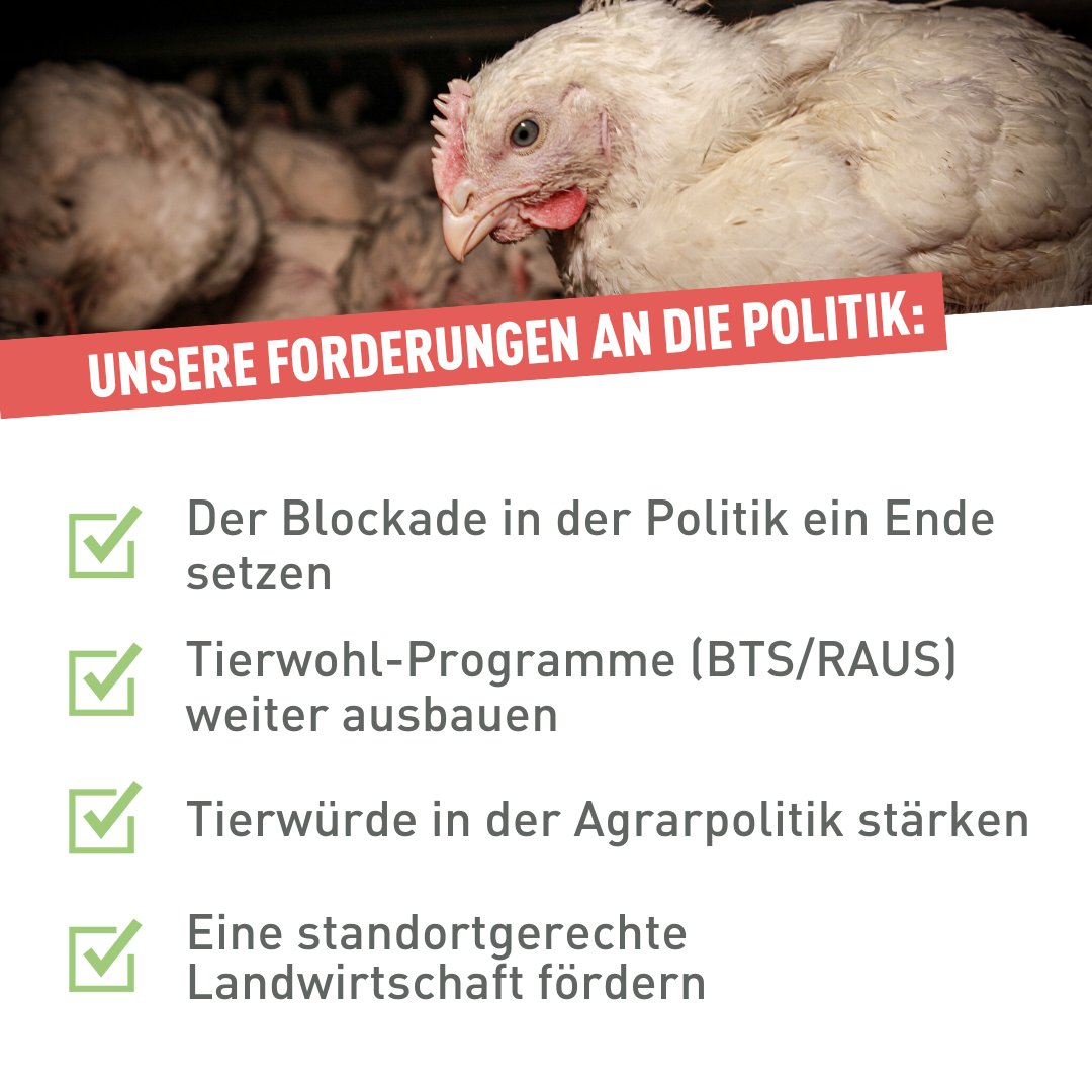 Die Initiative hat einen längst überfälligen Dialog angestossen 👉️ Dieser muss nun auch in die politische Debatte einfliessen.