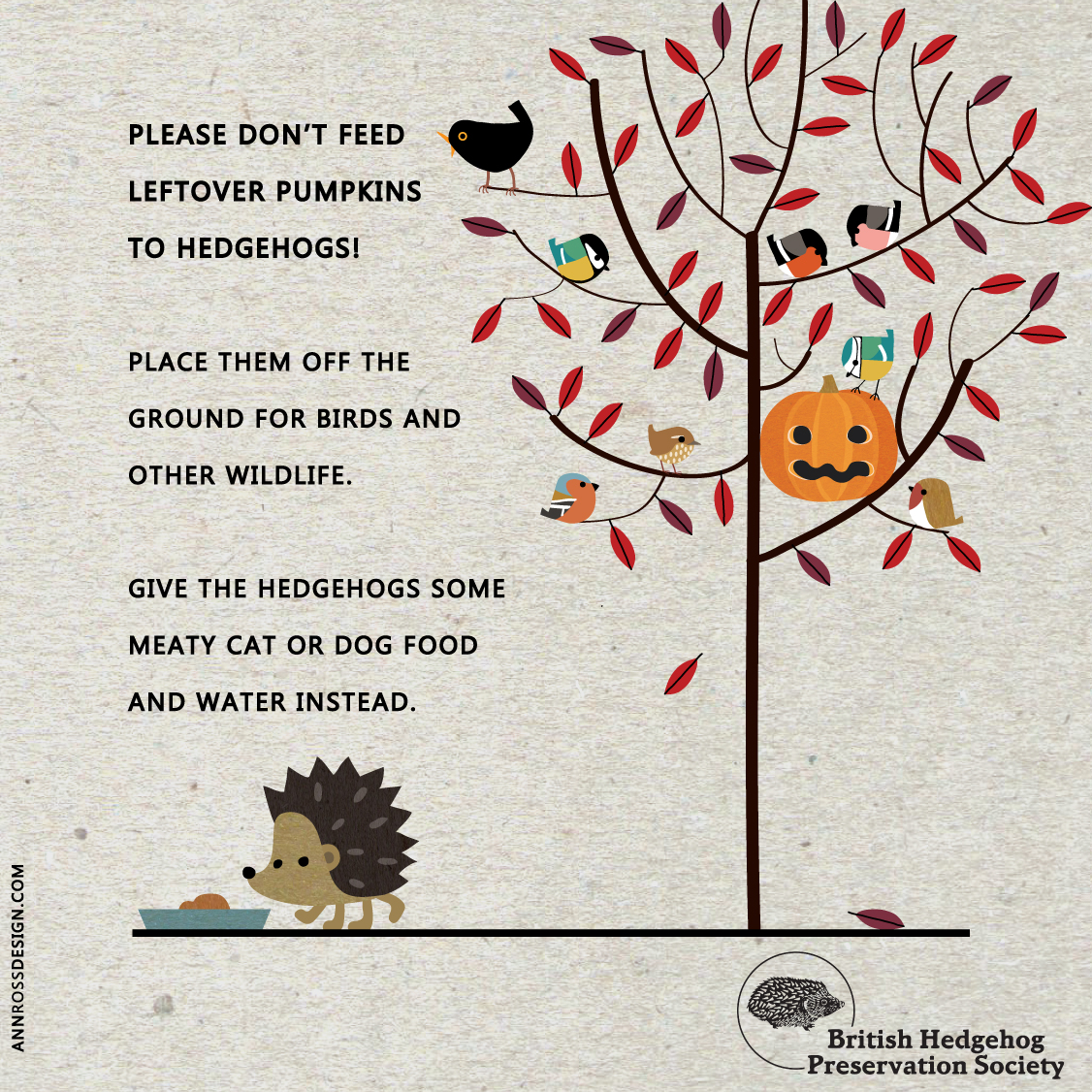 Some pumpkin 🎃 advice  to help hedgehogs 🦔 this #Halloween