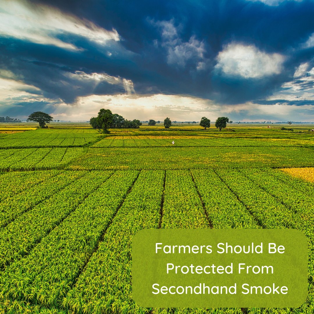 BreatheSac's tweet photo. Farmers should be protected by smoke-free outdoor worksites. They deserve to be protected from secondhand smoke too. https://t.co/6PFhZ7epRj