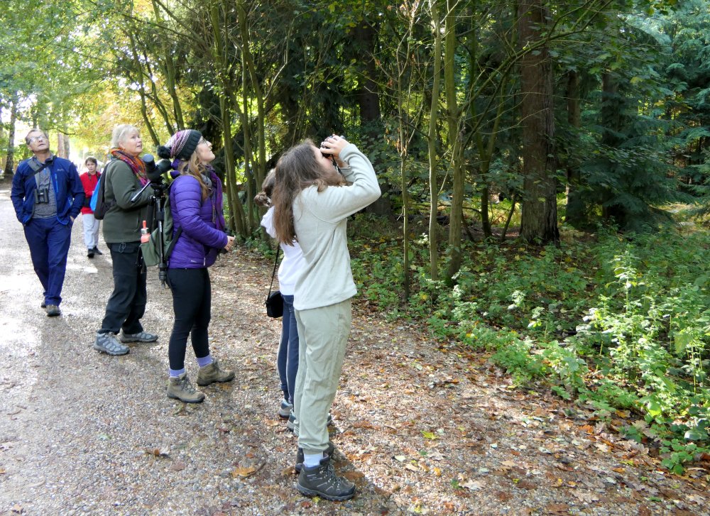 Nick Moran tweet media