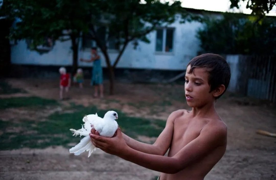Bu gün ne oldu ki yarına heveslenelim.