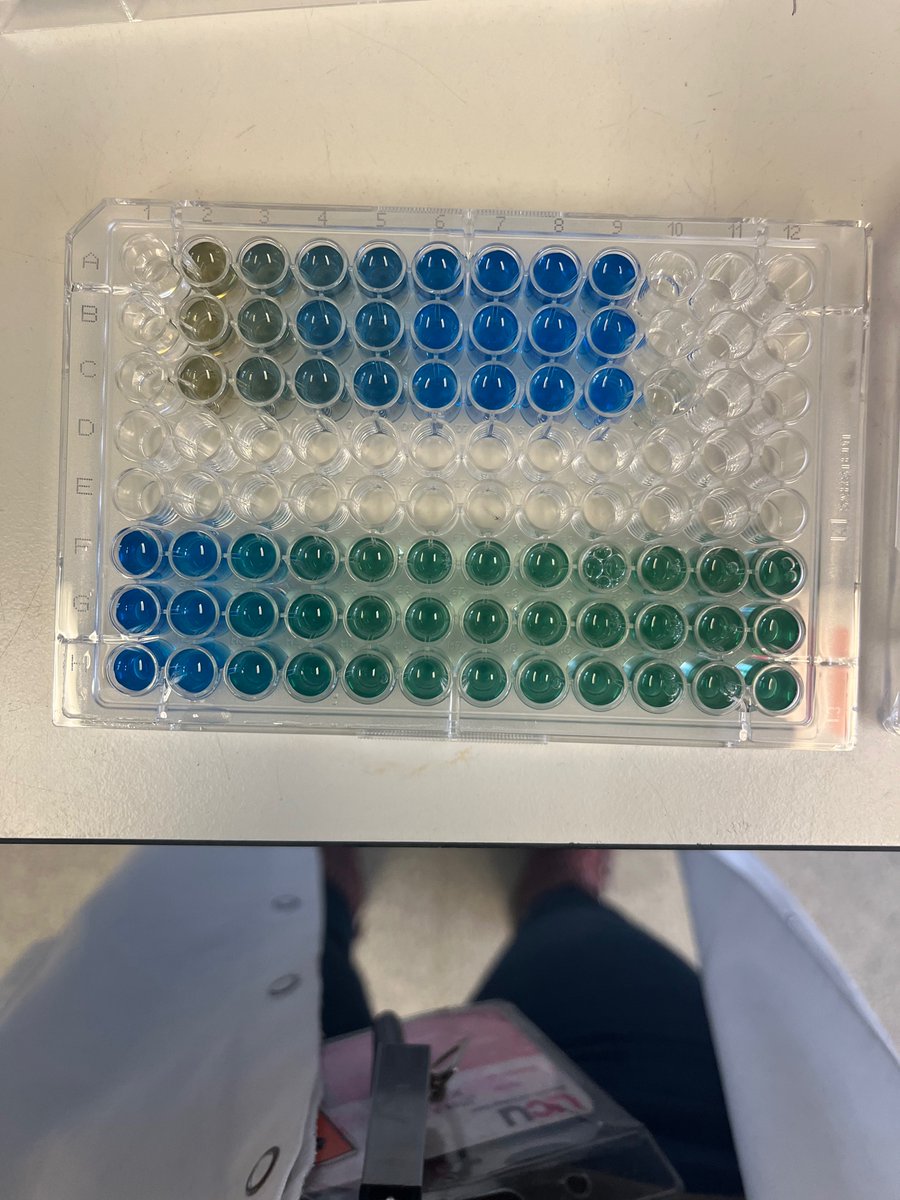 AmyByrne14's tweet photo. After ALOT of optimisation to get consistent levels of #EVs from my #DensityGradient is so rewarding ❤️ #PhD #scientist #extraceullularvesicles https://t.co/JwERt0UEDJ