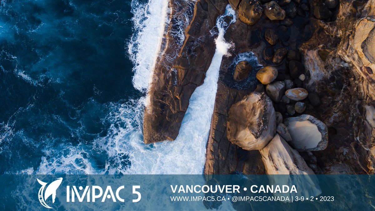 On #InternationalArtistDay, we want to highlight the important role art can play in increasing awareness of the challenges facing the world ocean, and in bolstering marine conservation action.