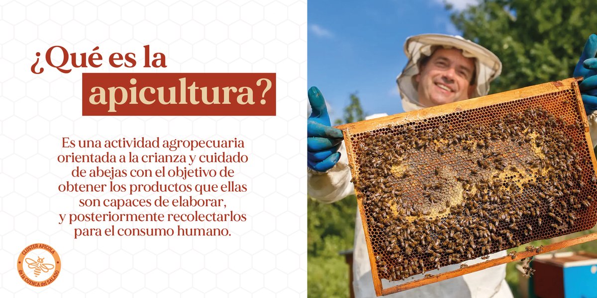 clusterapicola's tweet photo. ¿Queres ser un apicultor? no dudes en comunicarte con nosotros 👇
☎️+54 249 469 3118 o por nuestra web 🌐 https://t.co/PooKyrRiuA

LA CALIDAD DE NUESTRA MIEL COMIENZA EN EL APIARIO🍯🐝

#Clusterapicola #apicultura #abejas #abejasyflores #polinizacion #polen #colmena #miel https://t.co/bu5XZT7wEB