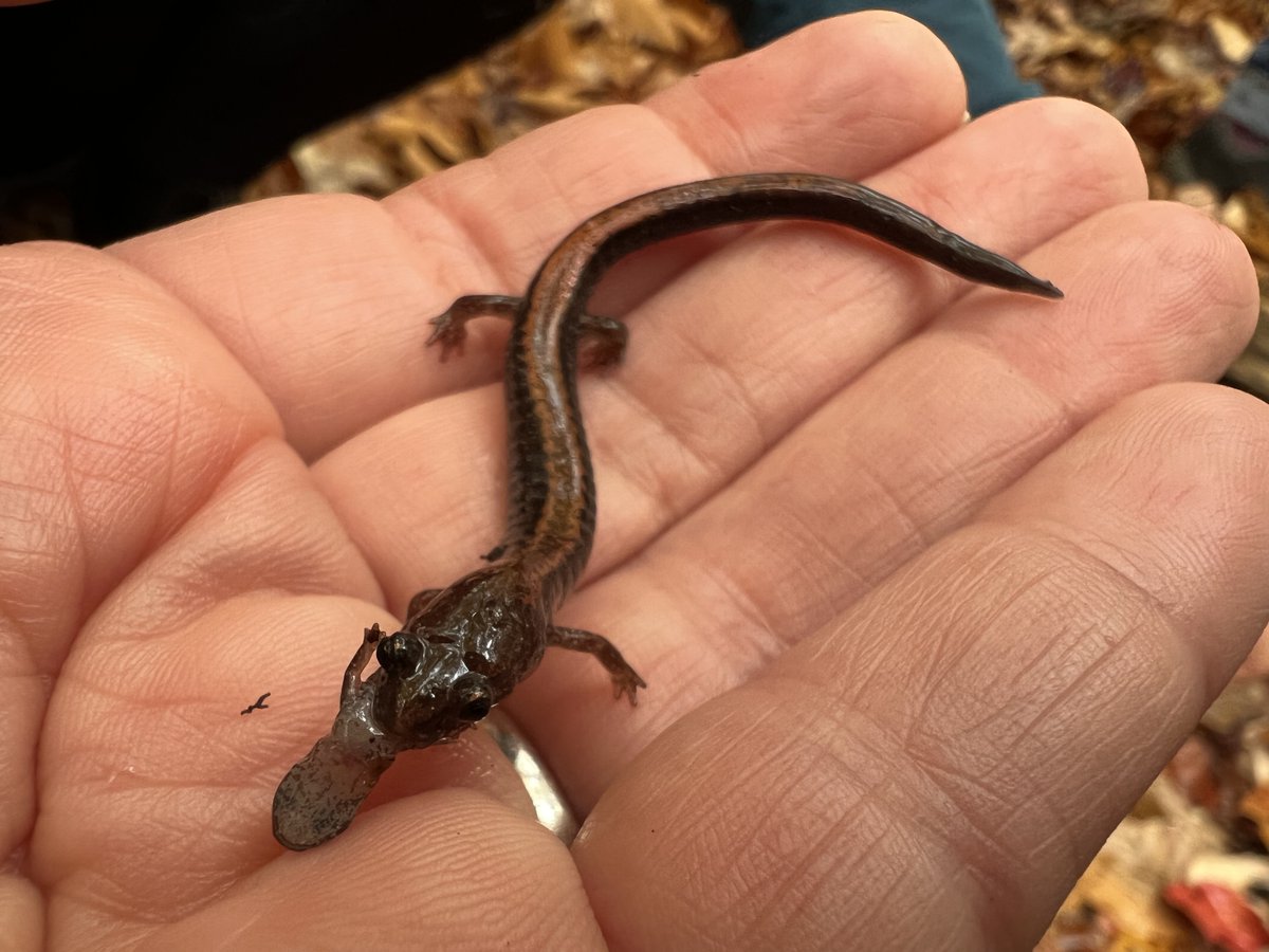 SPARCnet tweet media