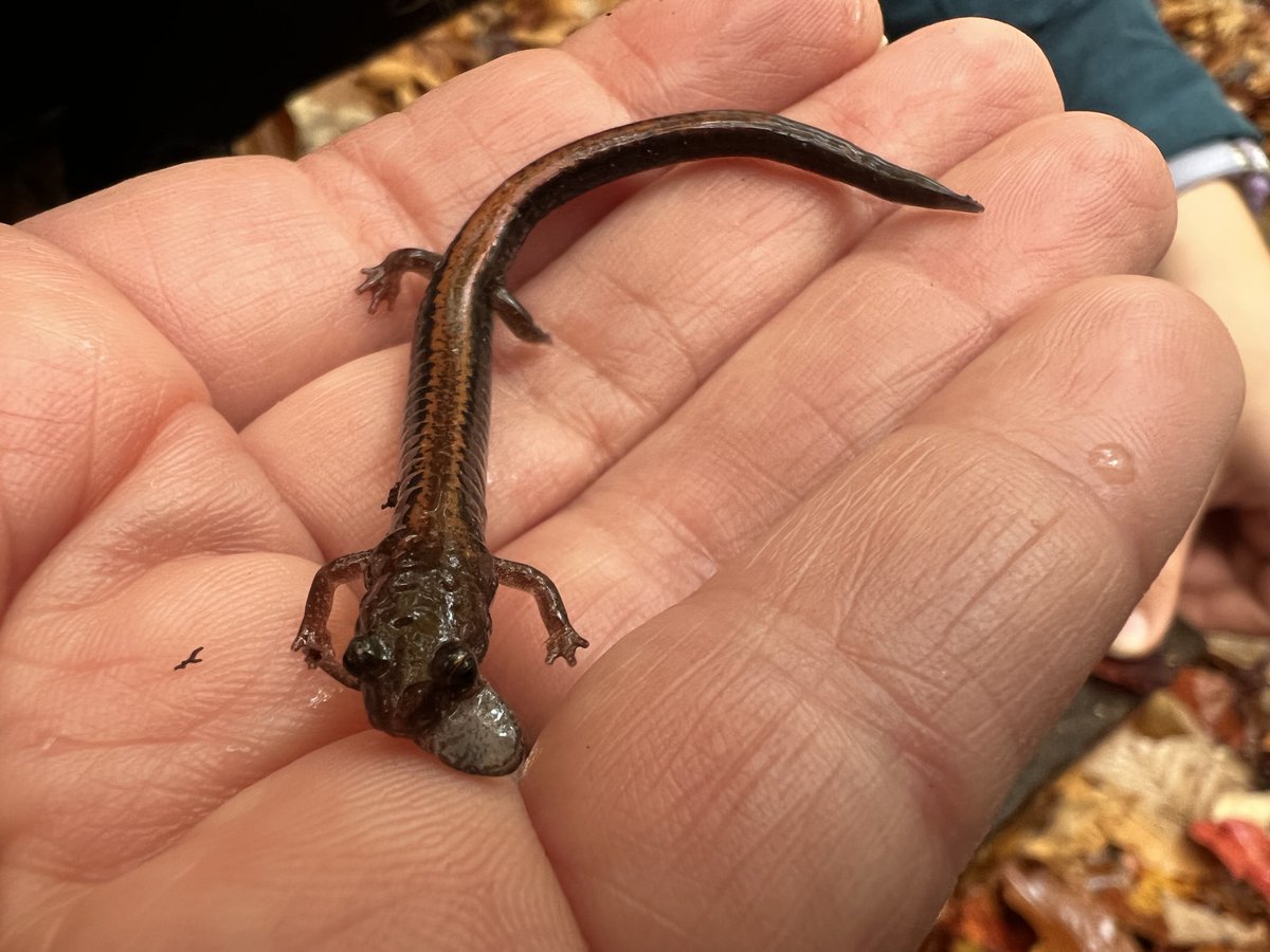 SPARCnet tweet media