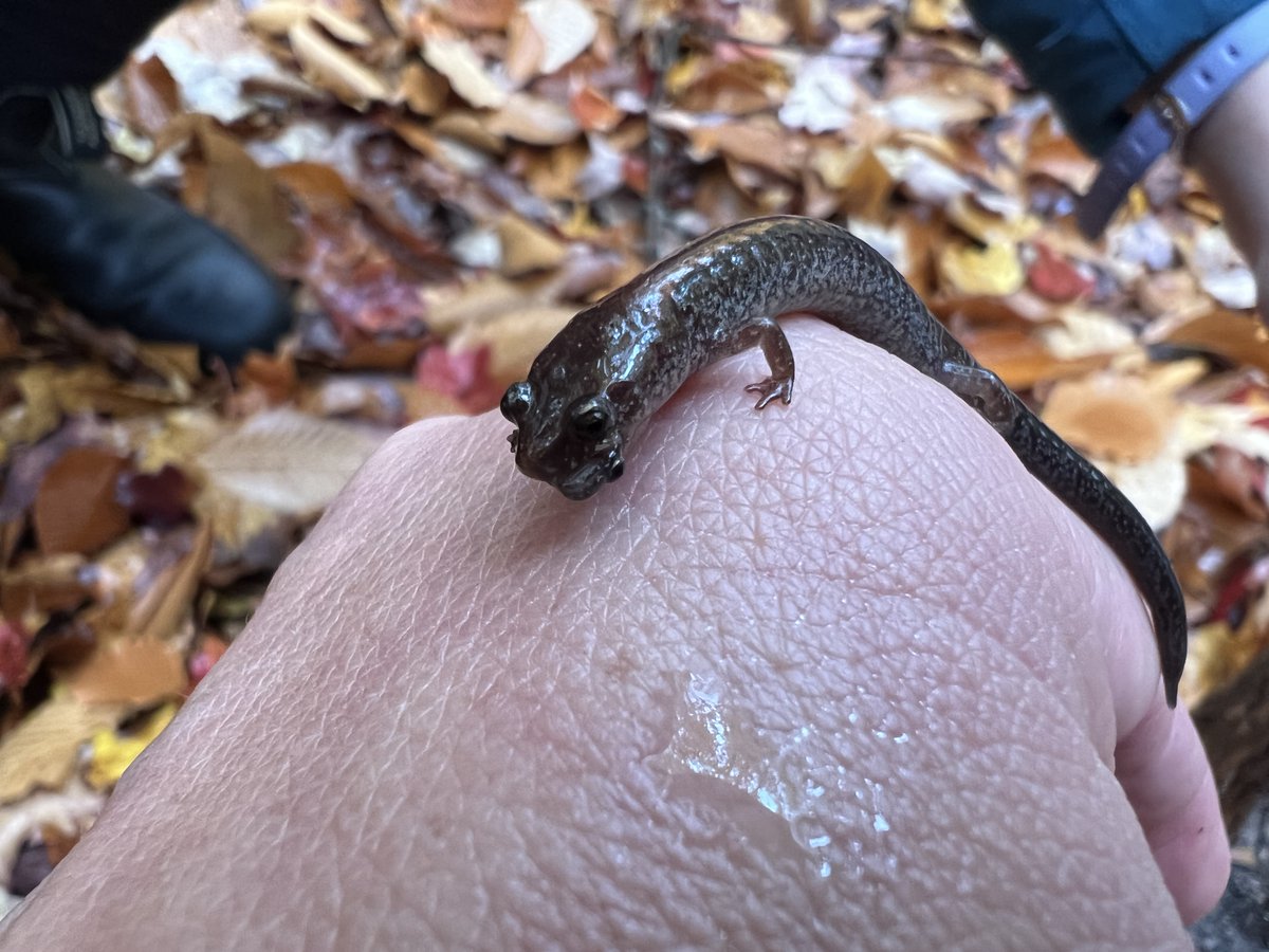 SPARCnet tweet media