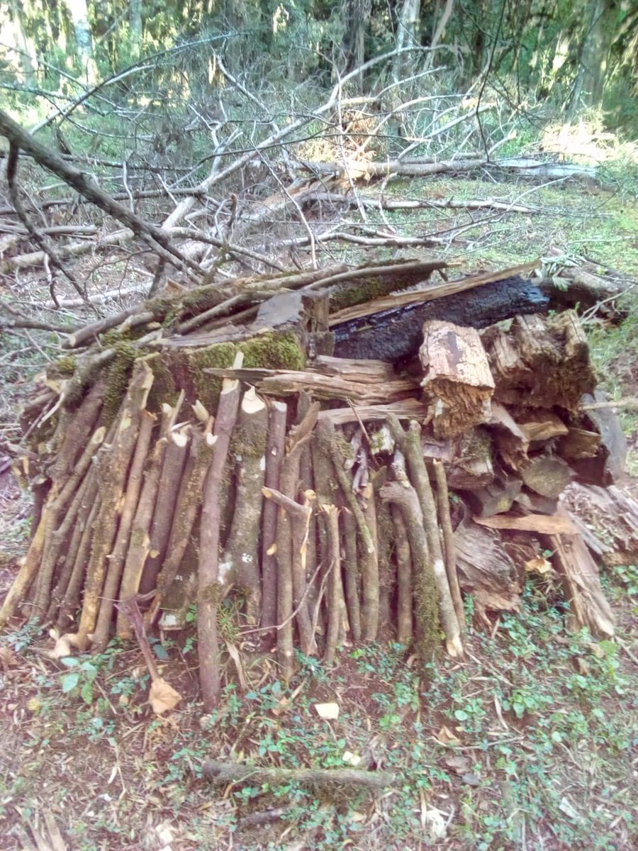 Enock Ole Kiminta 🇰🇪 tweet media