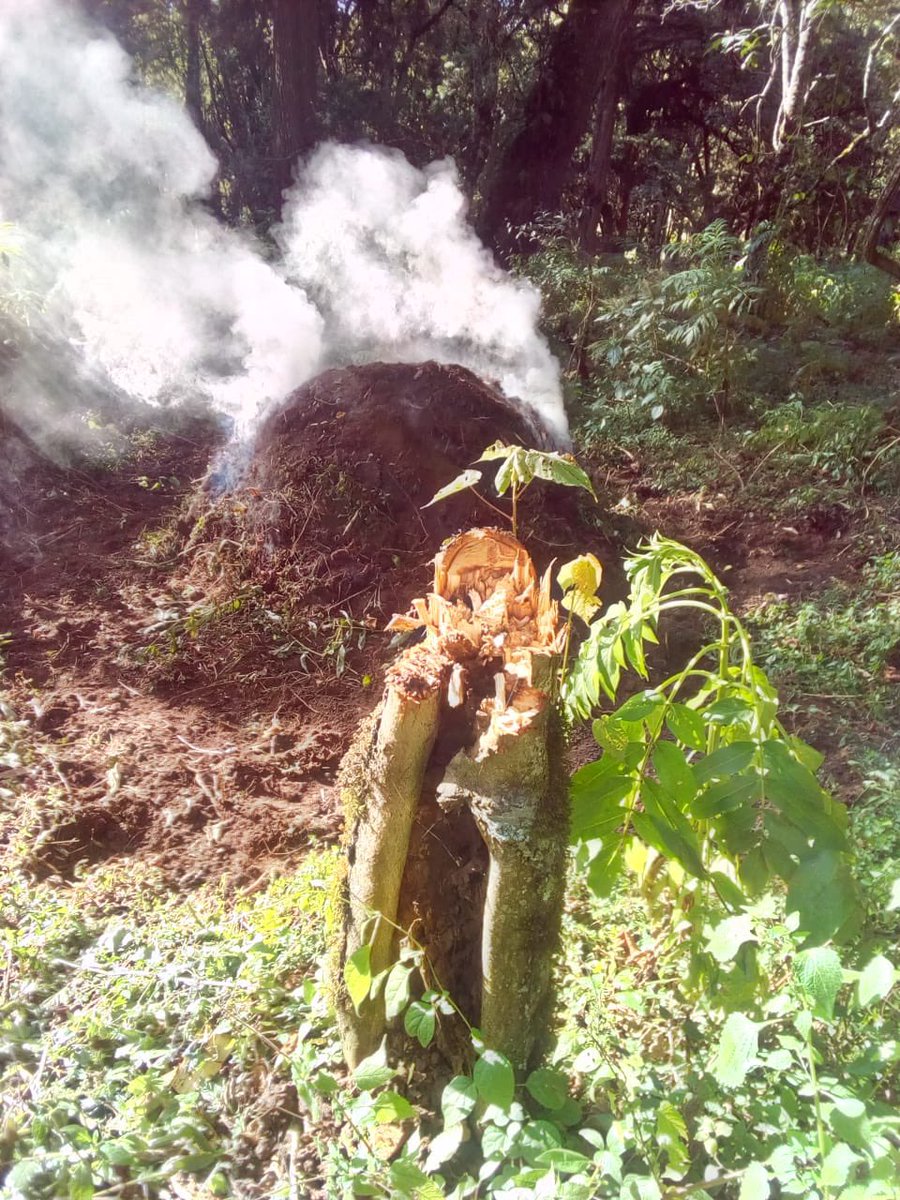 Enock Ole Kiminta 🇰🇪 tweet media