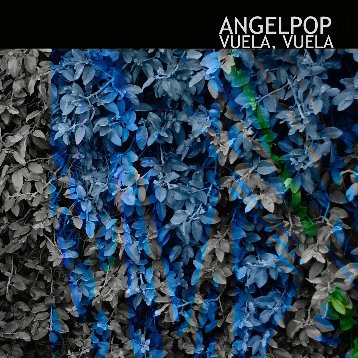 angelpopdj tweet media