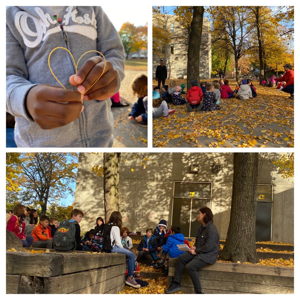 Roden-Equinox Community tweet media