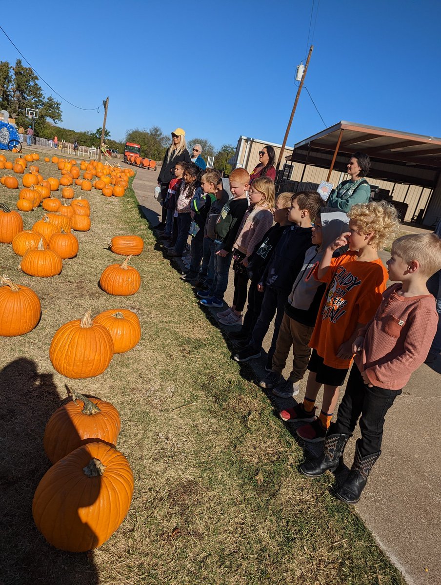 adkinmicteacher's tweet photo. Fun at The PTC Pumpkin Patch today! #GSOE https://t.co/mVBp3Uo51o