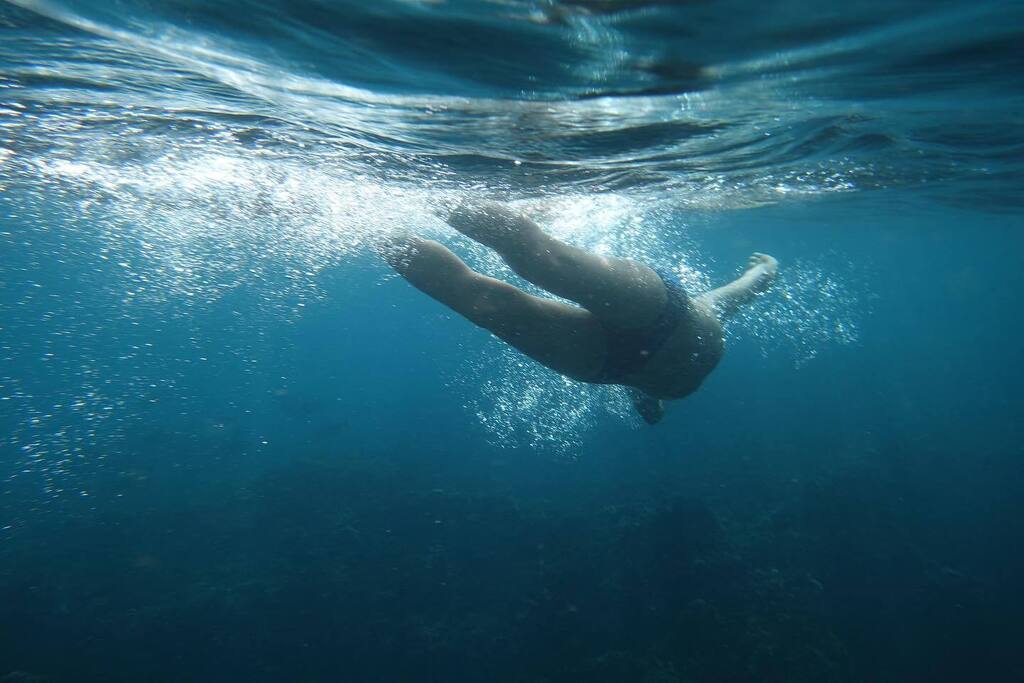 tkhskh's tweet photo. #breachswim https://t.co/mjh6tr6ixz