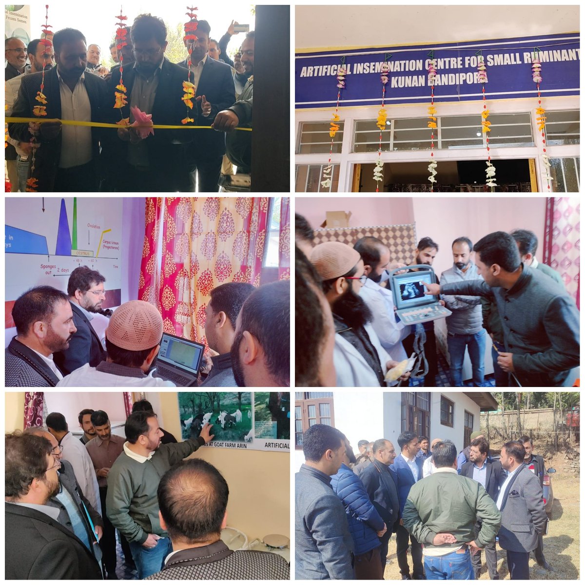 Dsho_bandipora's tweet image. Regional Director E &amp;amp; S Shri Athar Qadri today inaugurated #ArtificialInseminationCumSemenLabFacility  for small ruminants at Bandipore. The lab has been established under #AspirationalBlockDevelopmentProgram 2022-23.@dcbandipora @diprjk @DirSHDK @IgfriS @GoatTrust @AgriGoI