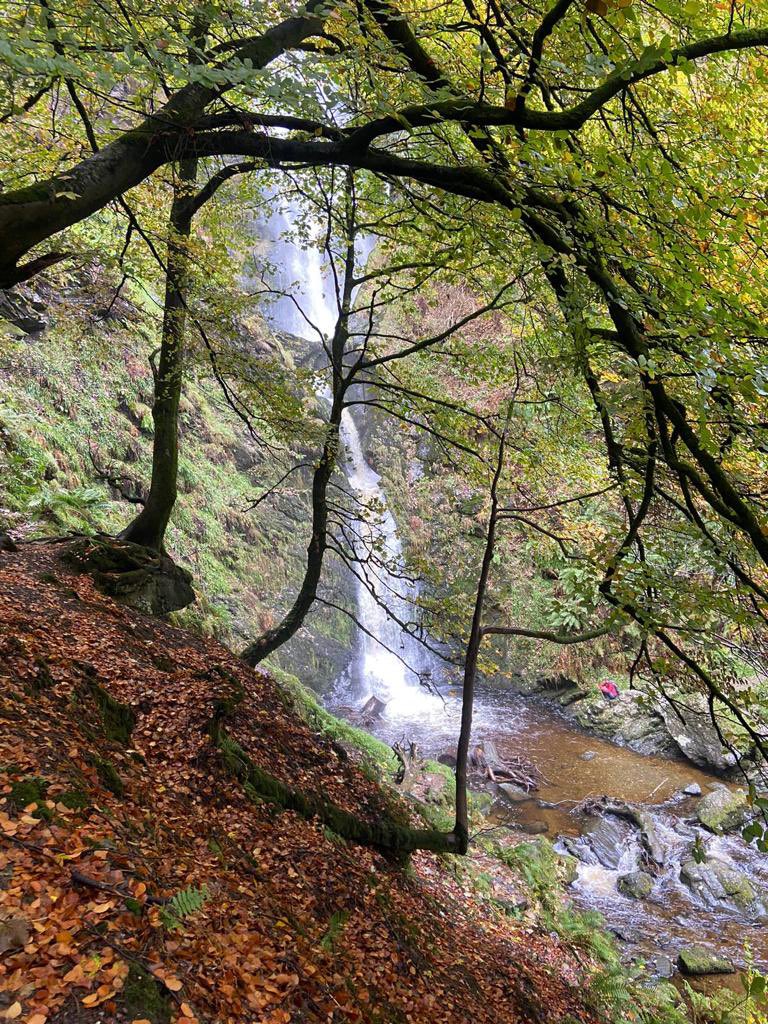 Lovely day yesterday at Pistyll Rhaeadr, it was great to be out in nature and wonderful to see everyone who came out 😊
@stevemorganfdn