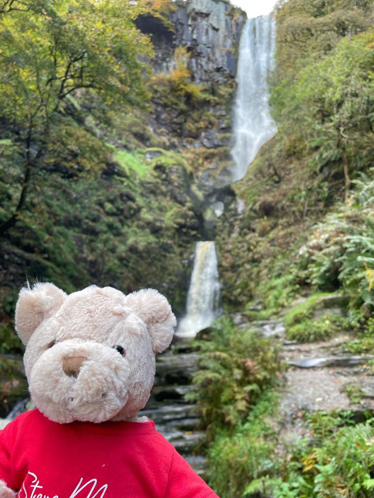 TransformChoice's tweet image. Lovely day yesterday at Pistyll Rhaeadr, it was great to be out in nature and wonderful to see everyone who came out 😊
@stevemorganfdn