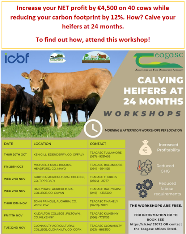 We're excited to host some of these upcoming workshops on November 2nd! To find out all the details and register to attend, click here: teagascevolve.clr.events/event/133072:c…