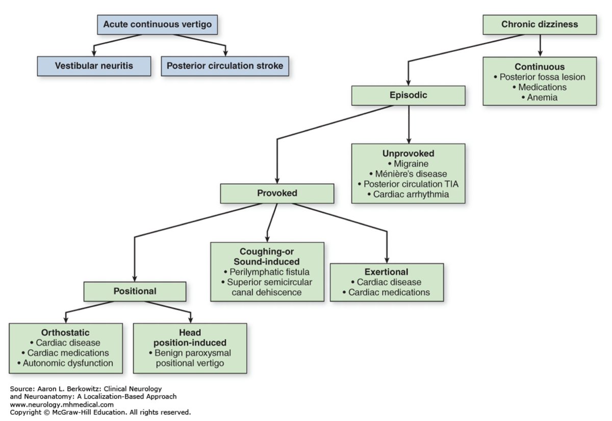 😵‍💫 Approach to Dizziness! 😵‍💫 4 big buckets Presyncope Vertigo