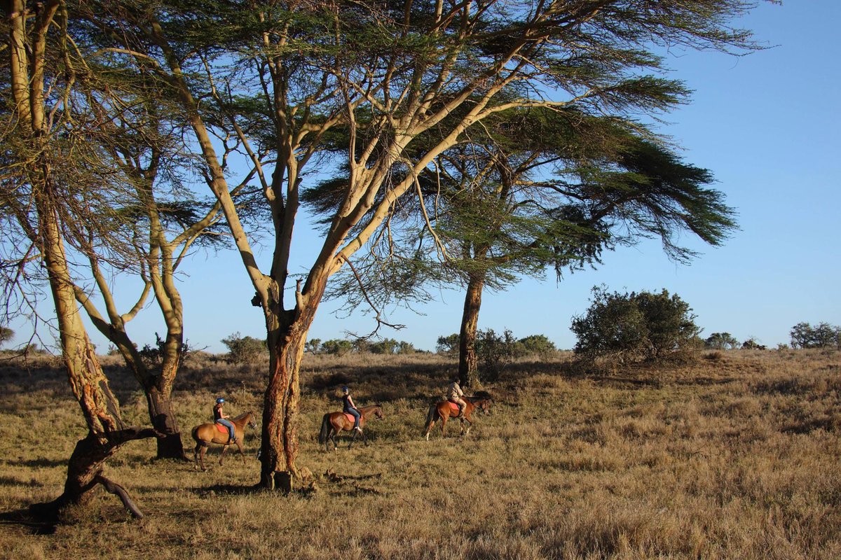 Ubuntu Travel Group tweet media