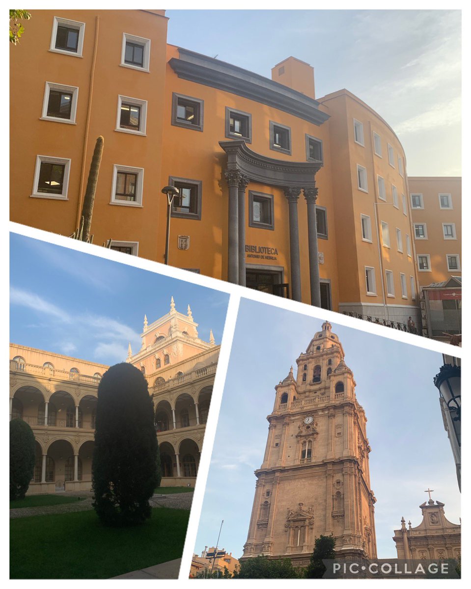 Miss Thomas tweet media