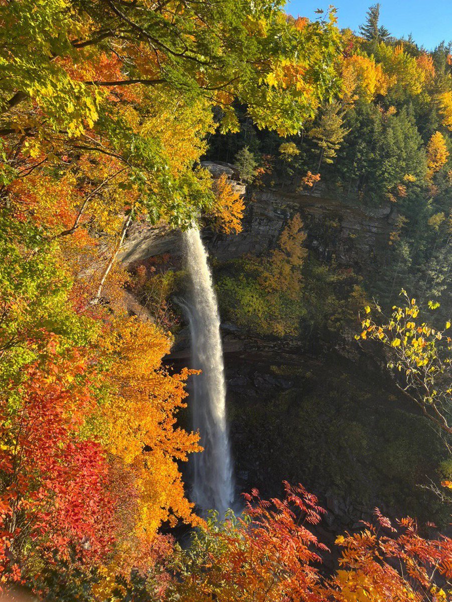 Grac535792901's tweet photo. #kaaterskill falls https://t.co/ZJS6MxHrUV