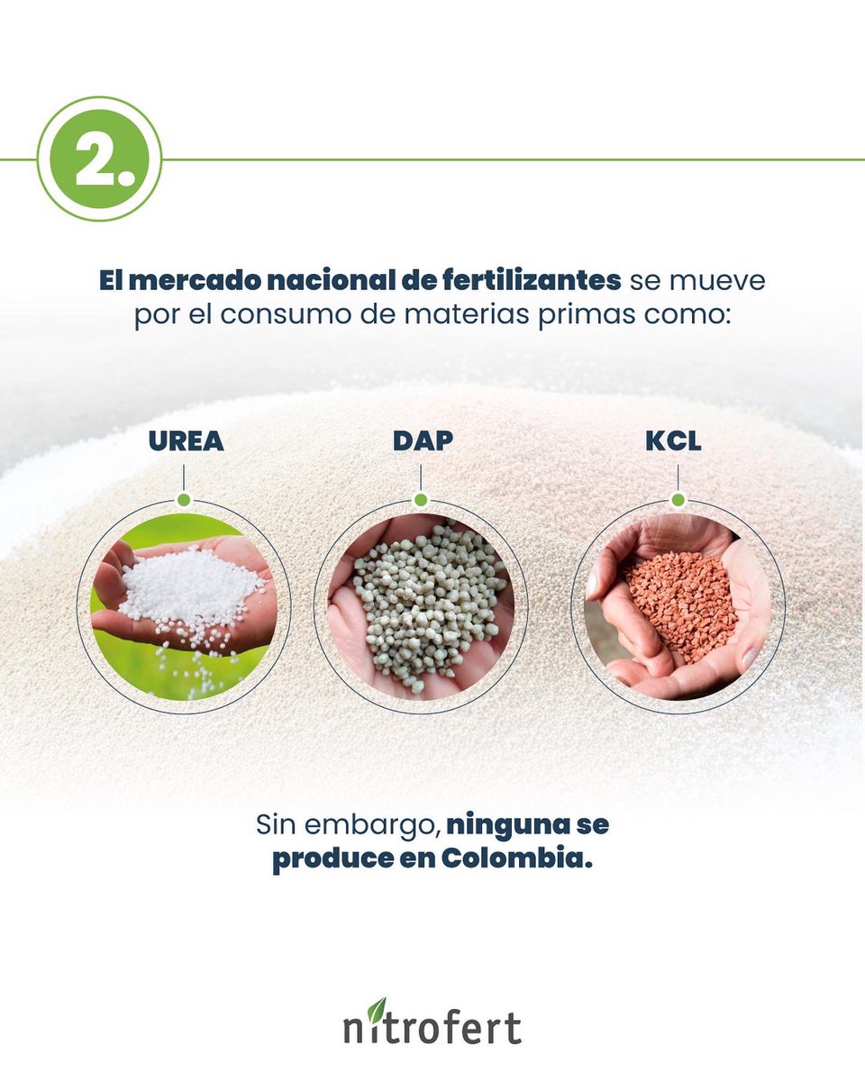 NitrofertCol's tweet photo. Hoy en Martes de Agro: 3 datos que necesitas saber a la hora de hablar de fertilizantes. #agrocolombiano #fertilizante #cultivos #nitrofert #nitrosoil #urea https://t.co/ivFfnRY5PW