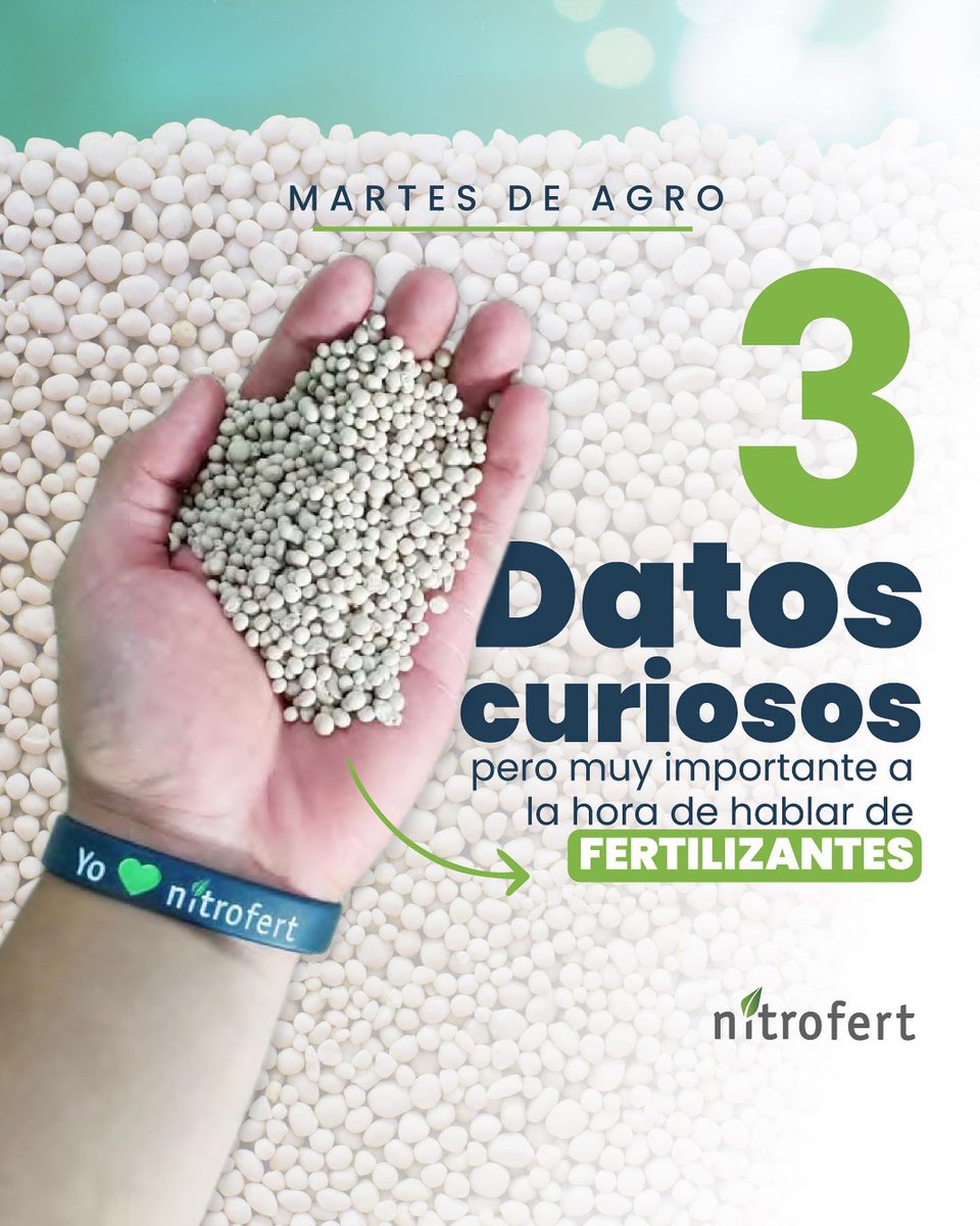NitrofertCol's tweet photo. Hoy en Martes de Agro: 3 datos que necesitas saber a la hora de hablar de fertilizantes. #agrocolombiano #fertilizante #cultivos #nitrofert #nitrosoil #urea https://t.co/ivFfnRY5PW