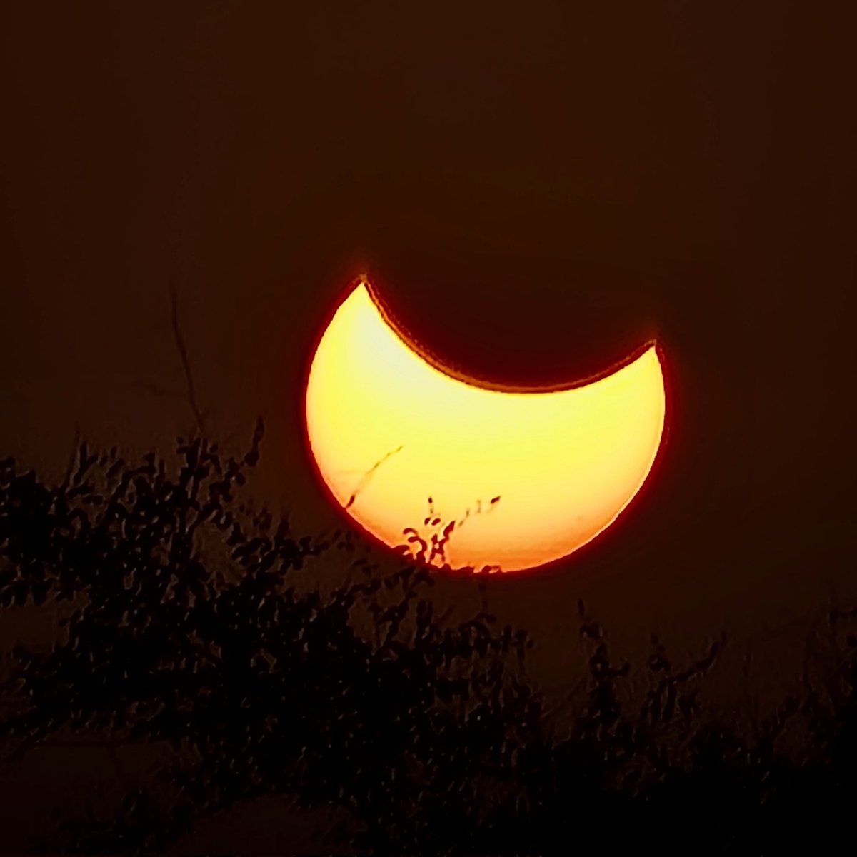 Rose20Purple's tweet photo. When life gives you an eclipse take photos 🤗
#solareclipseindia #SolarEclipse #SolarEclipse2022LIVE https://t.co/z9E7OgzKKo