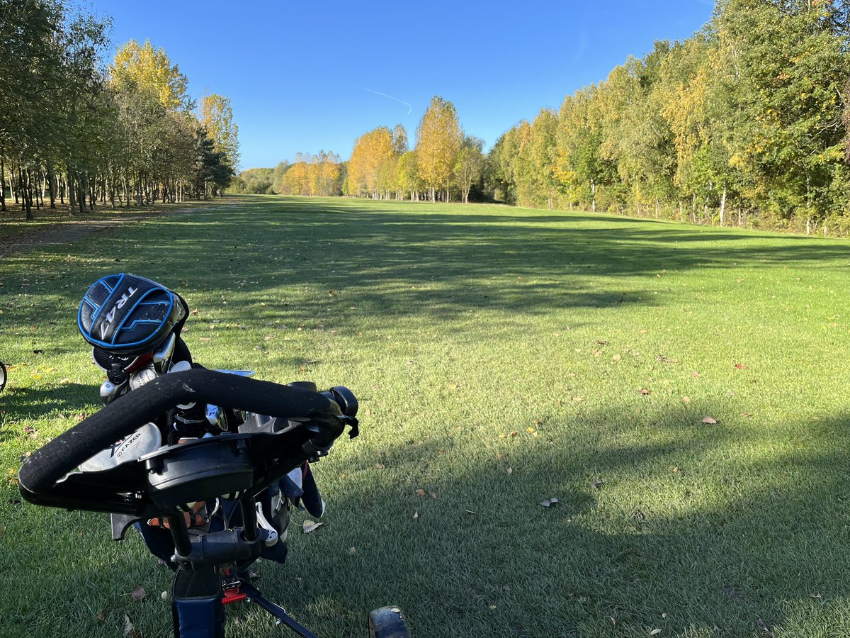 strollinPastel's tweet photo. Touched grass, specifically the grass between the trees. Balls - lost. Stress levels - increased https://t.co/ji3ZPjqqTM
