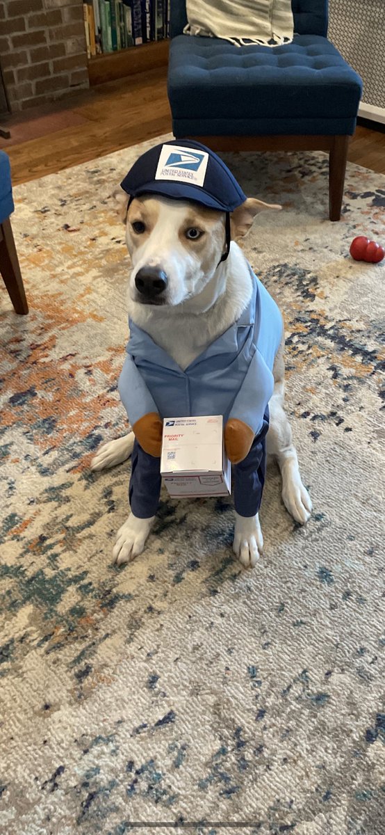 davidjustCST's tweet photo. @GlenPubLib Postal Worker Caleb is delivering treats this Halloween! https://t.co/UQbjdC0MDh