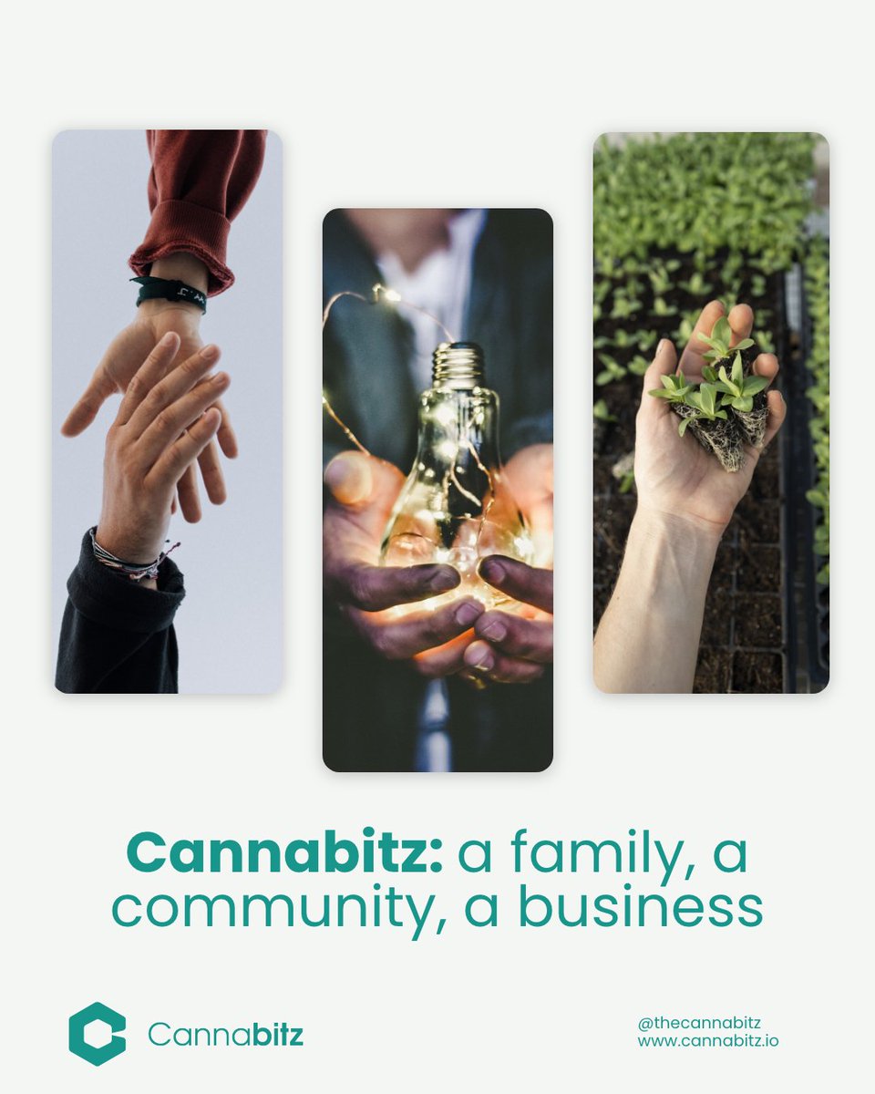 Cannabitz_io's tweet photo. A look through the different stages of c4nn*b1s history, the present and the past will give way to the future. Join us at @thecannabitznetwork https://t.co/dKoafkhjlb