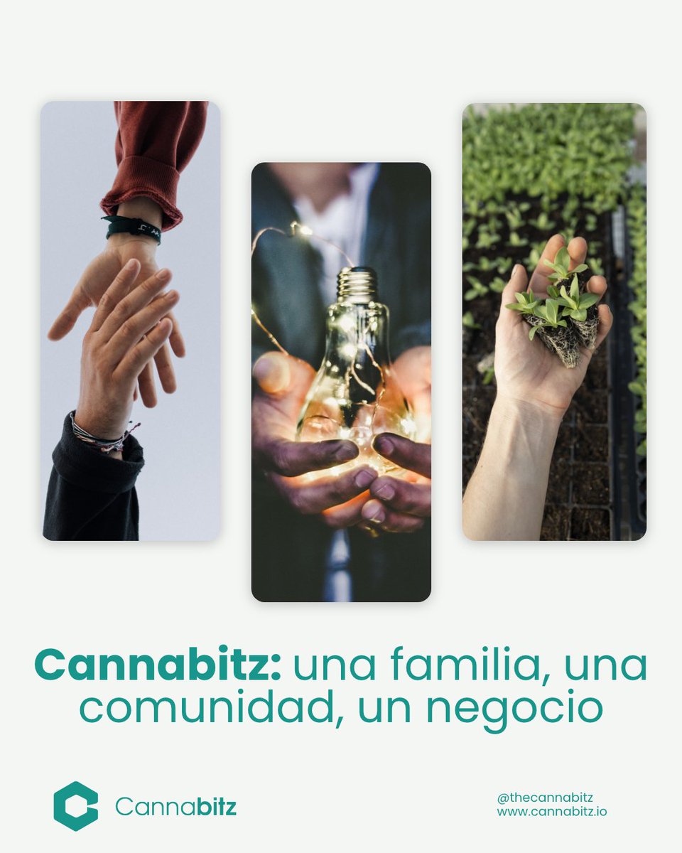 Cannabitz_io's tweet photo. A look through the different stages of c4nn*b1s history, the present and the past will give way to the future. Join us at @thecannabitznetwork https://t.co/dKoafkhjlb