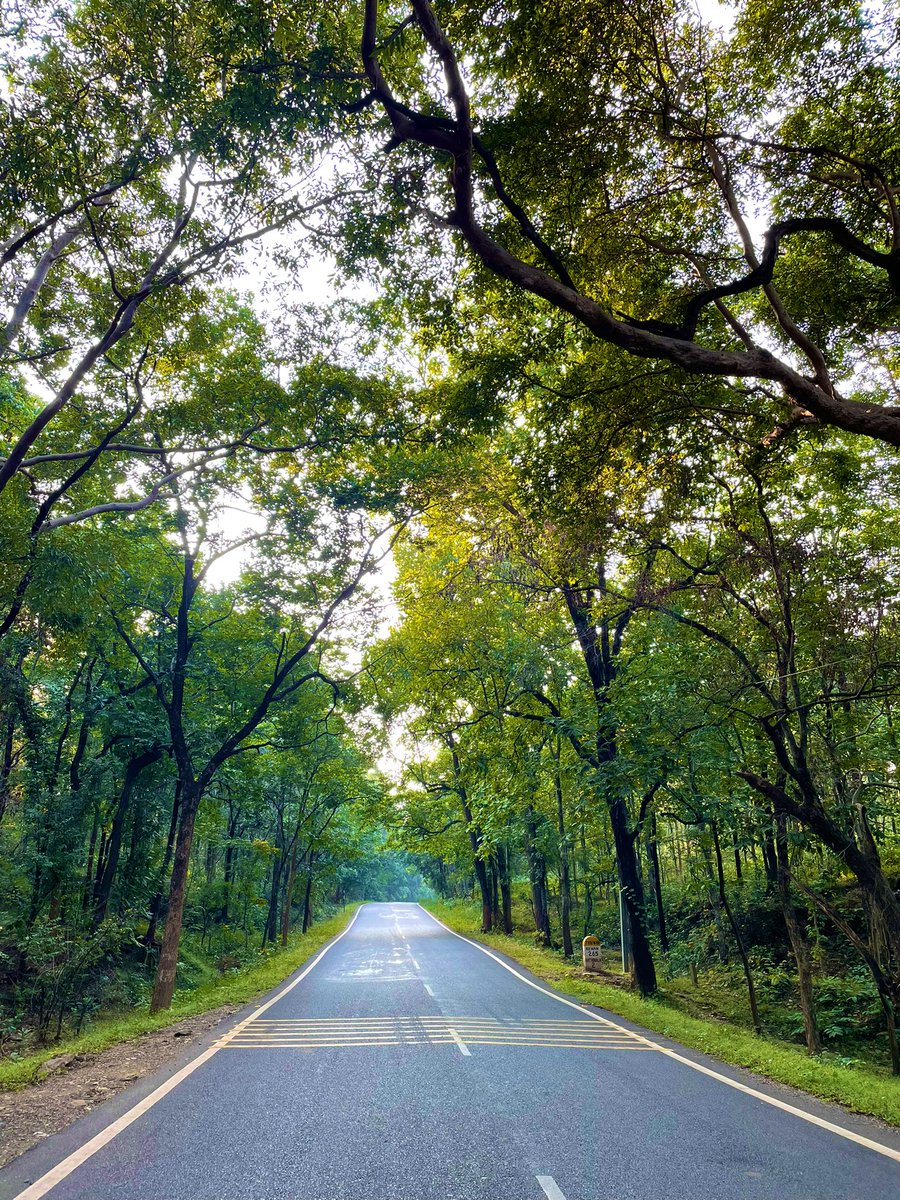 silent_touch_kk's tweet photo. Random trip …vibes ✨ https://t.co/Bqv1Vz7FZx