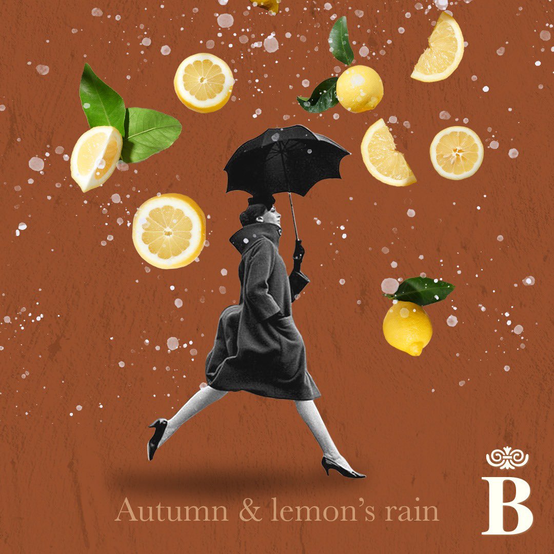 BelsanGrowers's tweet photo. Autumn is here, brown leaves, rainy skies and yellow lemons!!!! We are already starting the season with the phone on fire and eager to start filling Europe with Belsan lemons! 🍋
.
#pinklemon #belsangrowers #spanishlemon #lemon #lemons #citrus #thebestlemon #verna #vernalemon https://t.co/qyt7NewsjX