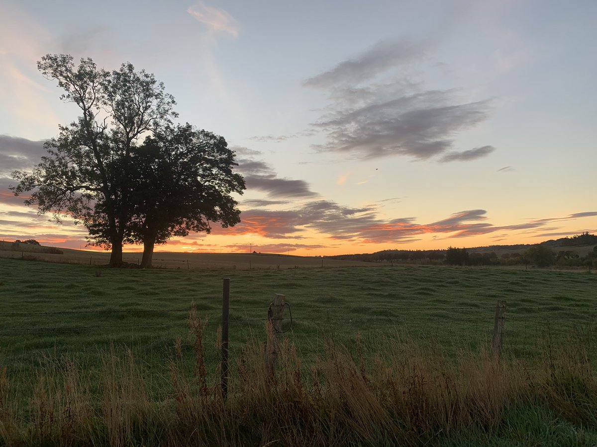 e_macdonald2's tweet photo. Dramatic sunrise season is upon us! #natureonourdoorstep #sunrise https://t.co/ACePyXGqkL