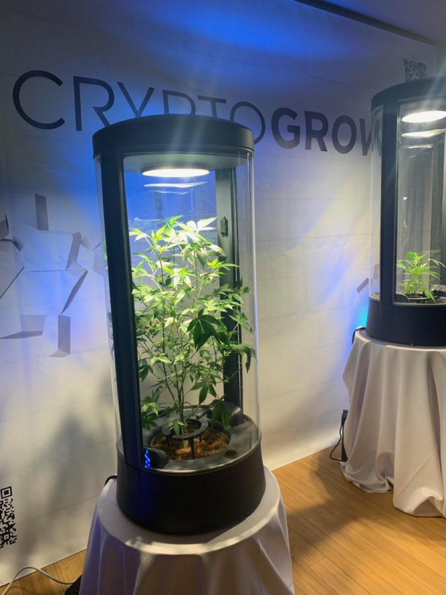 CryptoGrowNFT's tweet photo. Can weed machines be digital collectibles?

🤔🤔🤔 https://t.co/YN7e6GqWdw