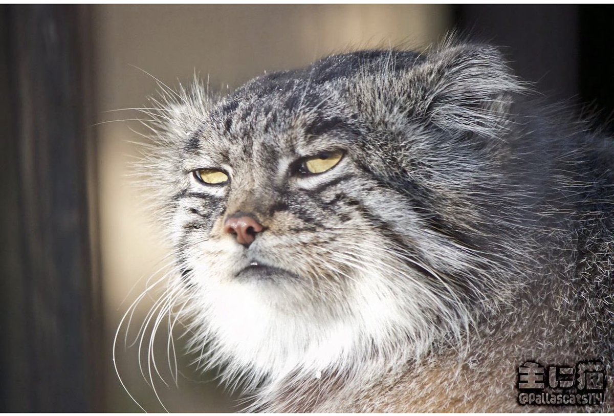 Wenn ich ganz hart abgefuckt bin 🥹🙃