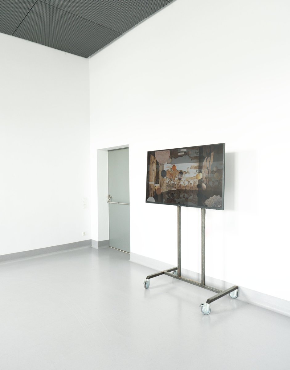 WMD Collective tweet media