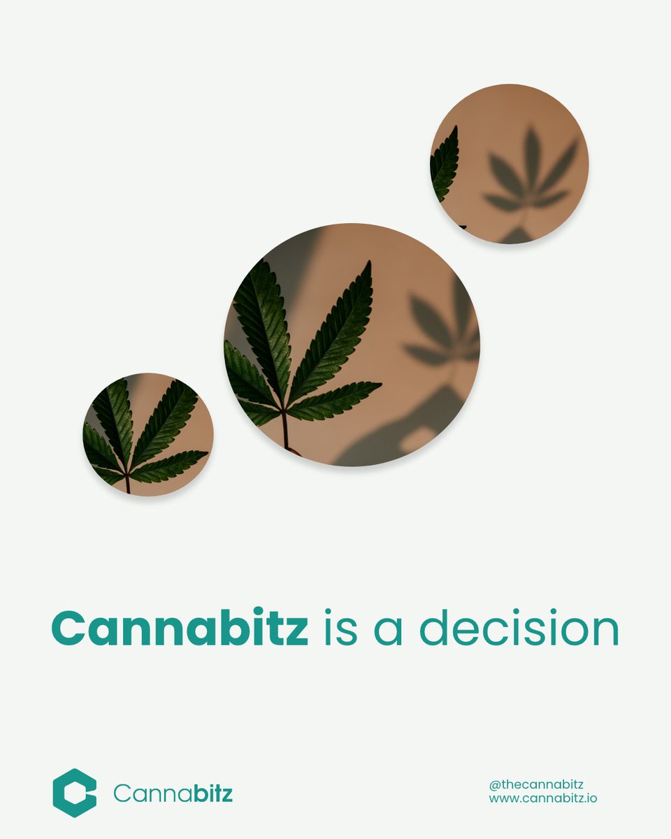 Cannabitz_io's tweet photo. At Cannabitz we also give you advice to help you and your money move forward. Get more info at @thecannabitznetwork https://t.co/xPz3cU6GMZ