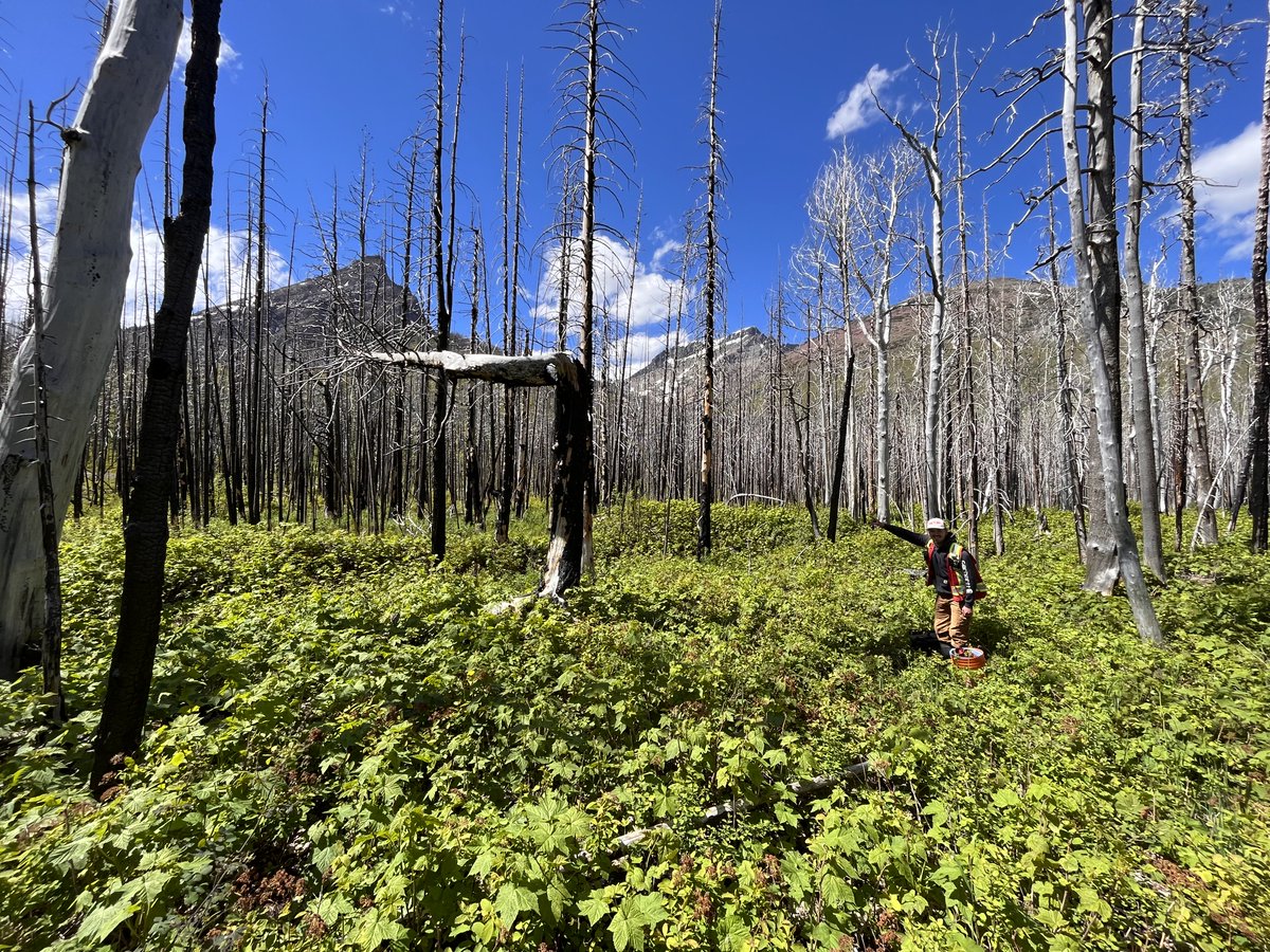 SRWP_H2O's tweet photo. That's a wrap on the 2022 field season! Wishing everyone the best as the season comes to a close, from our field crew to yours. We look forward to our return once there is a little bit more snow on the landscape. https://t.co/cEqFM6Mzyl