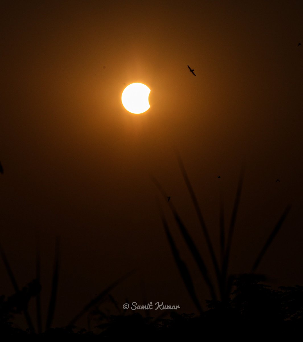 Photos of the last solar eclipse of the year from Lucknow .

#solar #solareclipse #solareclipse2022 #sunset #nature #naturegeography #naturelovers #canonmark5div #canonlife #canonindiaofficial #canonindia_official #sun #Lucknow #lucknowdiaries #eclipse #eclipsesolar #UNIVERSE