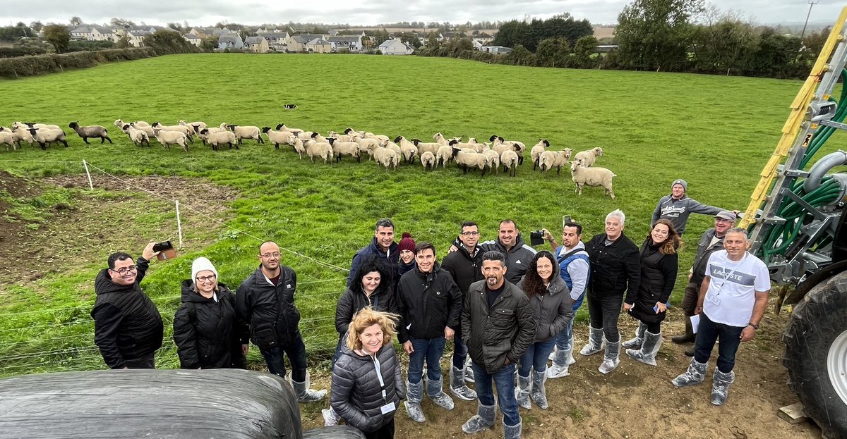 JamesDoran19's tweet photo. Delighted to host a group from Cyprus today representing the Department of Agriculture, Rural Development &amp; Environment, Cyprus. Many thanks to our host farmers Joe &amp; John Atkinson for accommodating the visit @ger95939369 @TeagascWWC @teagasc @TeagascBeef @TeagascSheep https://t.co/UgVUOnzqlZ