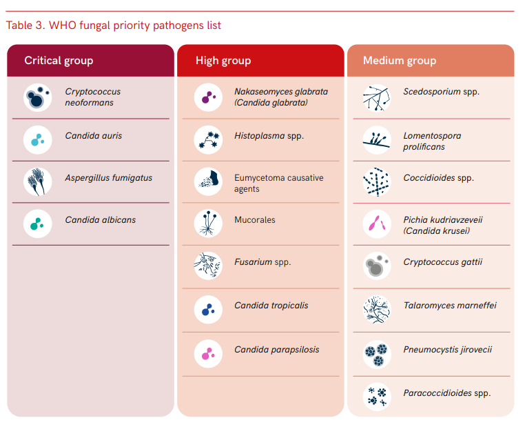 Exciting to see the WHO Fungal Priority Pathogen List published: