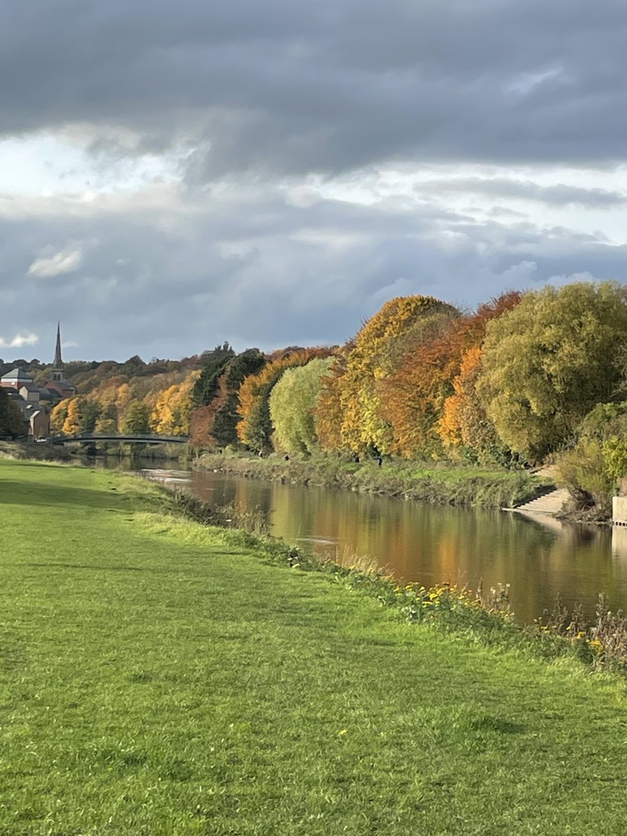 ⁦<a href="/BBCSpringwatch/">BBC Springwatch</a>⁩ Durham river bank!