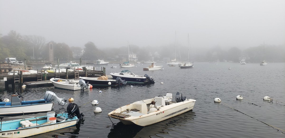 jennycschafer's tweet photo. Full day of learning, networking, and community building BioImaging North America @BioimagingNA Community Congress @MBLScience. #BINA2022CC Of course, the microscopy is great, but so is the scenery. Excited to be part of the community and take great ideas home @VUCellImaging. https://t.co/JIFFpyp5ey