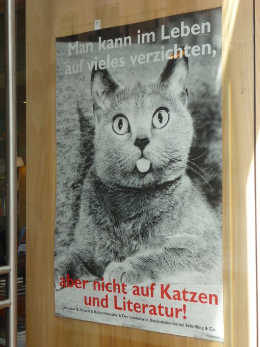 Poster showing a cat sticking its tongue out and the text below.