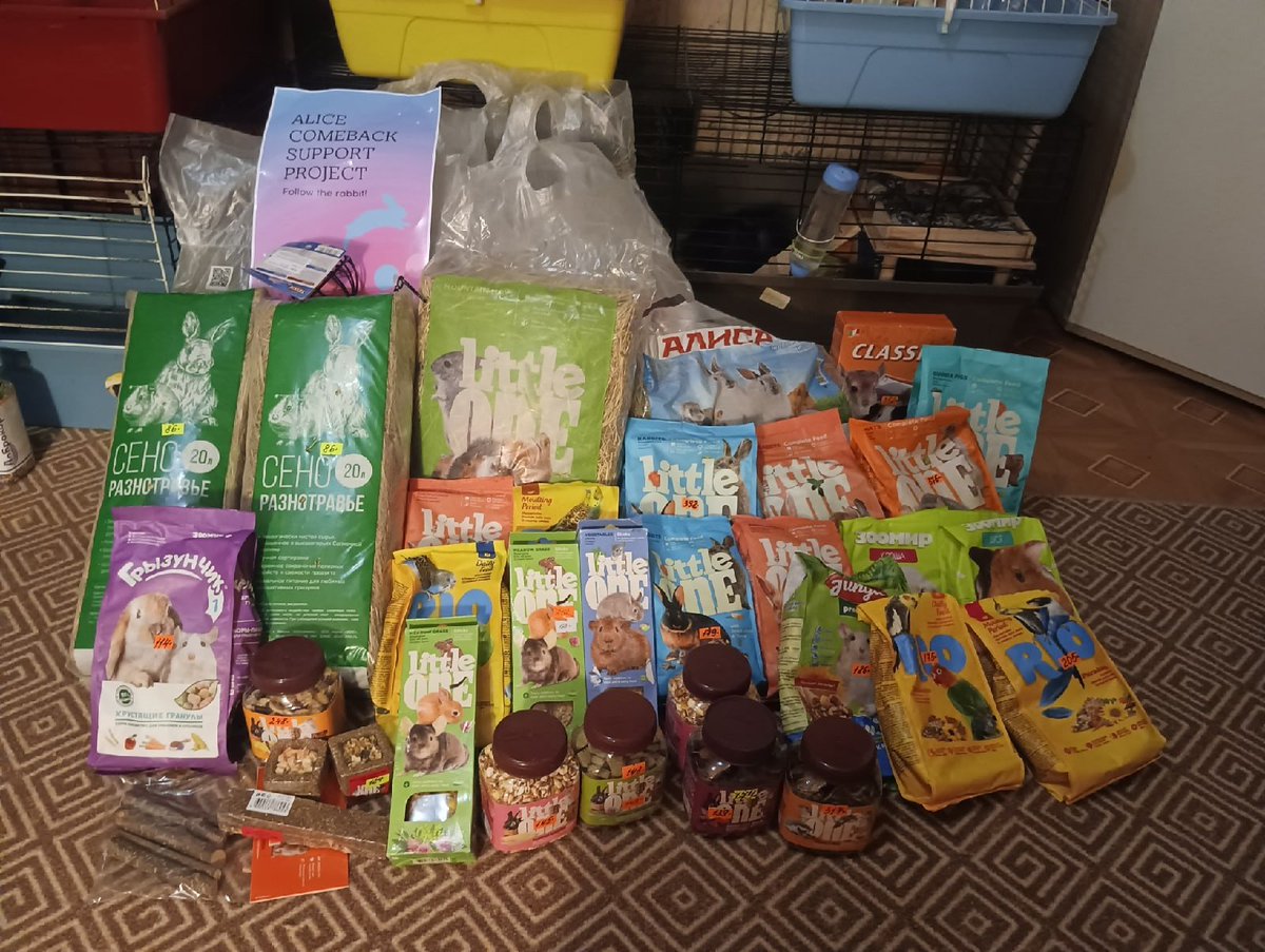 fluffylinny's tweet photo. #FollowTheRabbitAndDanceOn
We waited for this comeback so much, and it's finally about to happen! We decided to prepare gifts for the rabbits in animal shelter. It's pretty much Alice's mascot, so we hope it brings them luck.
We love and support you always, Alice! 
@IOK_ALICE https://t.co/AyhhwP3HqC