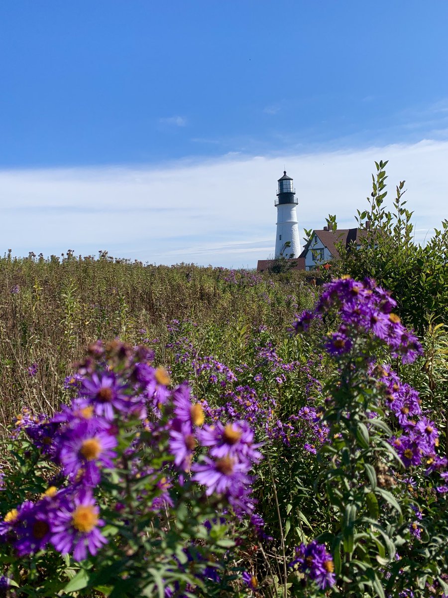 David Russell tweet media