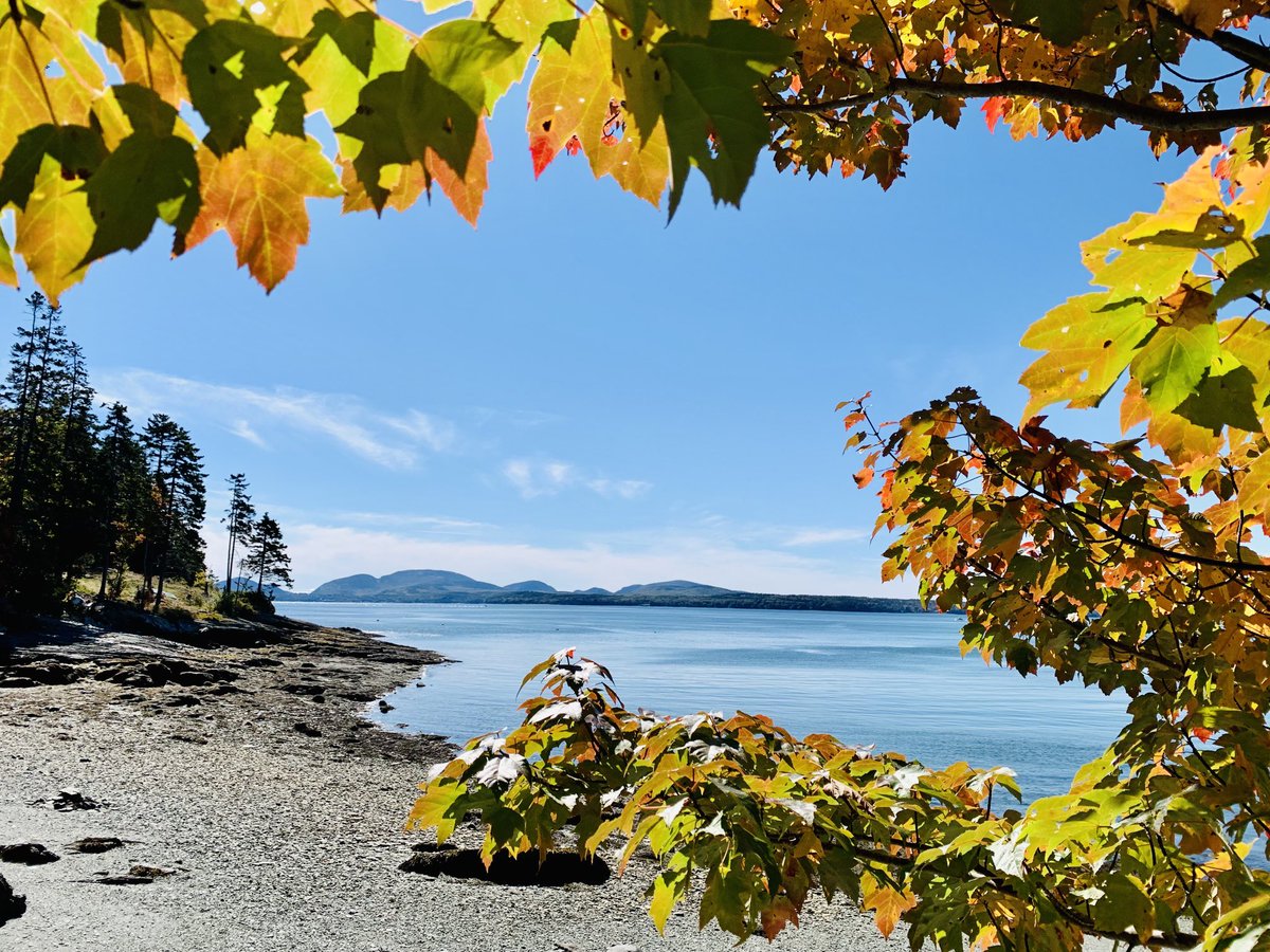 David Russell tweet media